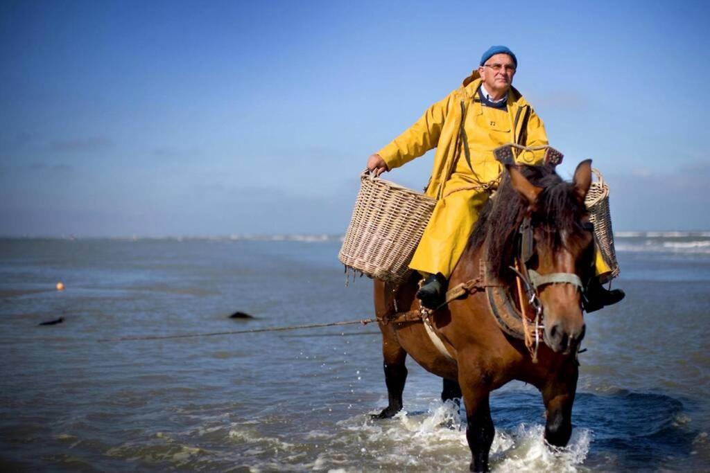 Zeezonzand Koksijde Zewnętrze zdjęcie